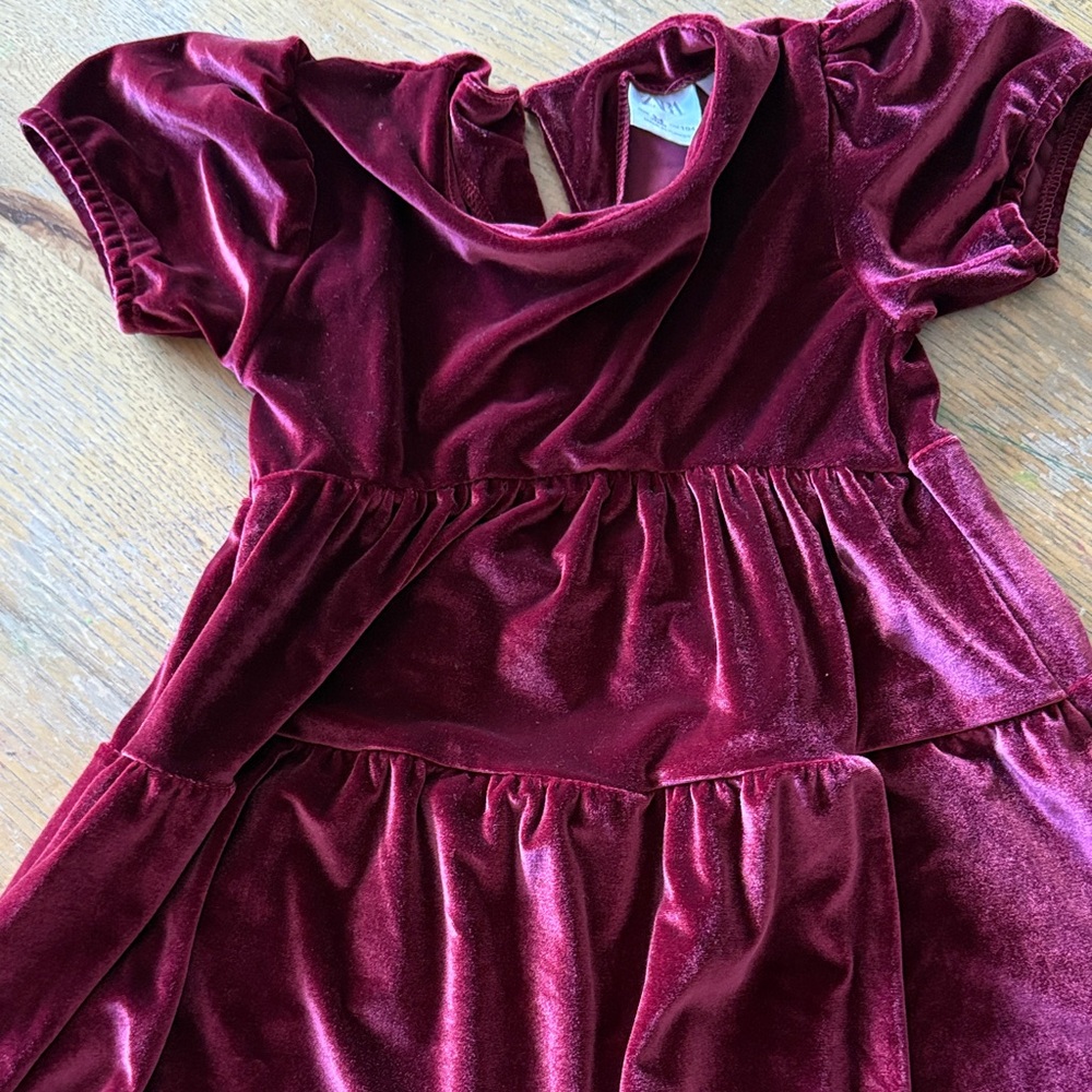 Zara Velvet Red Dress